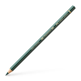 Polychromos¨ Artists' Colour Pencil  - #165 Juniper Green