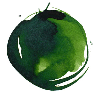 Acrylic Ink 30ml Jar, Sap Green Permanent